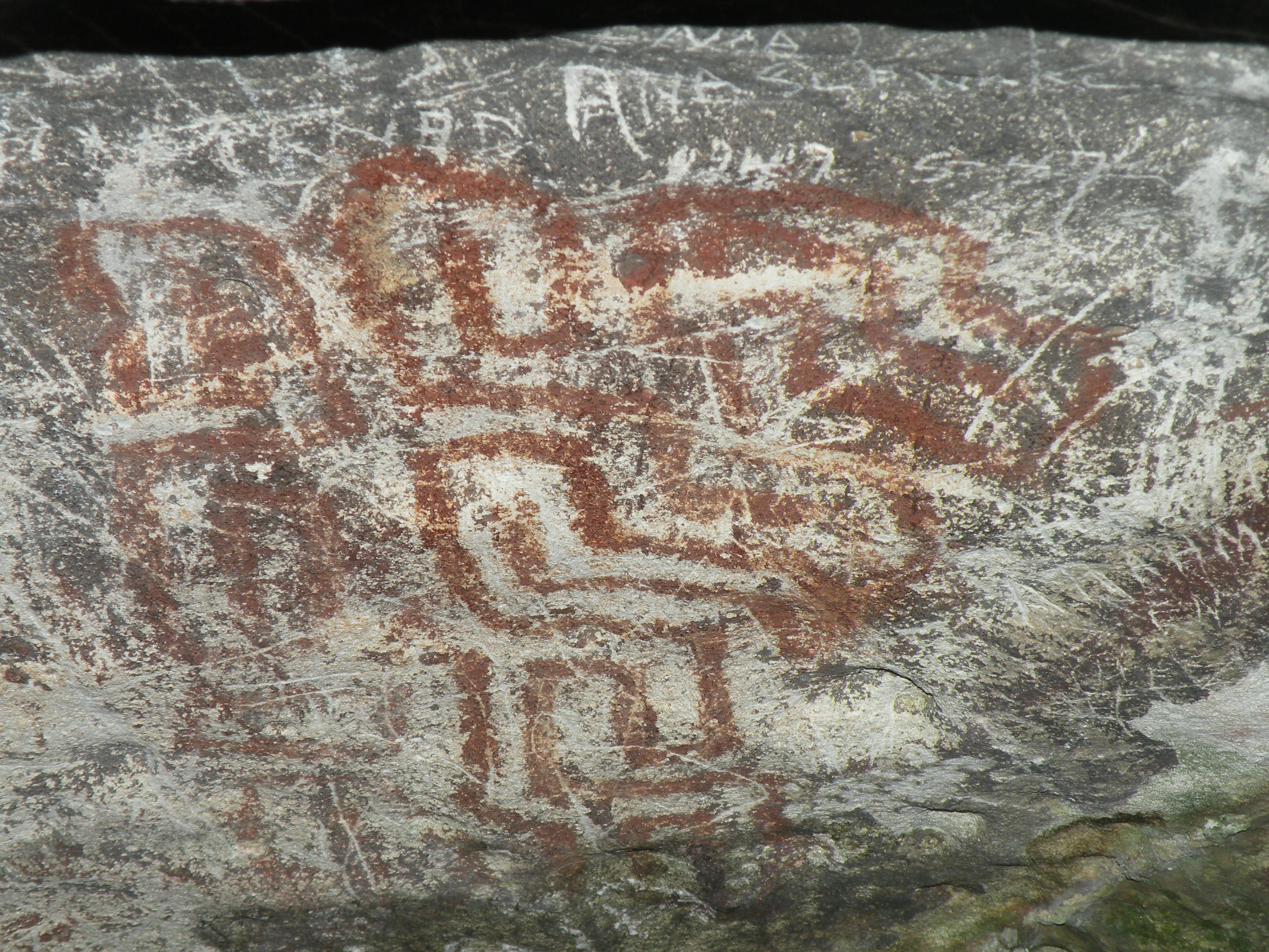 Decoding patterns in prehistoric cave art – Andrew Hiller